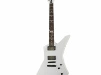 ESP | イーエスピー  LTD Snakebyte SW