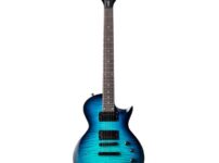 ESP | イーエスピー  LTD EC-200DX BLB