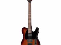 ESP | イーエスピー  LTD TE-200 TSB