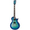 ESP | イーエスピー  LTD EC-1000T CTM FM VS