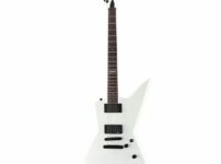 ESP | イーエスピー  LTD EX-401 SW