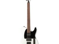 ESP | イーエスピー  LTD TE-200 SW