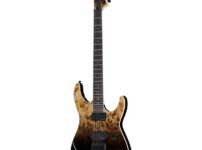 ESP | イーエスピー  LTD M-1000HT BP Black Fade