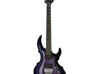 ESP | イーエスピー  FRX Glitterstorm Purple