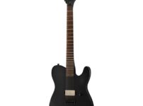 ESP | イーエスピー  LTD TE-201 Black Satin