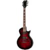 ESP | イーエスピー  LTD EC-256 QM Black Cherry SB