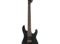 ESP | イーエスピー  LTD M-1007B ET Granite Sparkle