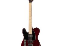 ESP | イーエスピー  LTD TE-200 Maple STBC LH