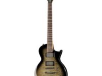 ESP | イーエスピー  LTD EC-200DX CHB