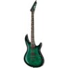 ESP | イーエスピー  LTD H3-1000 Black TB