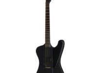 ESP | イーエスピー  LTD Phoenix Black Metal BLKS