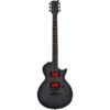 ESP | イーエスピー  LTD BB-600 Baritone Signature