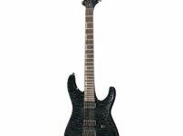 ESP | イーエスピー  LTD H-1001 QM See Thru Black