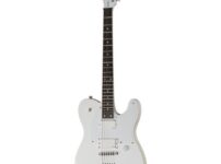 ESP | イーエスピー  LTD TED 600T SW