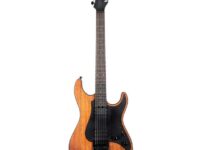 ESP | イーエスピー  LTD SN-1000 Evertune Koa NT