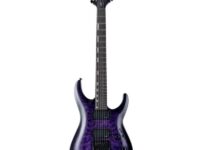 ESP | イーエスピー  LTD H-1000 Evertune QM STPSB