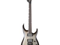 ESP | イーエスピー  LTD MH-1000 Evertune Charcoal