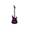 ESP | イーエスピー  LTD M-200DX NT PB B-Stock