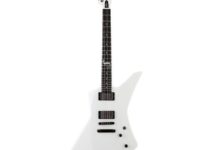 ESP | イーエスピー  Snakebyte SW James Hetfield