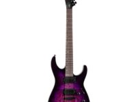 ESP | イーエスピー  LTD M-200DX NT PB