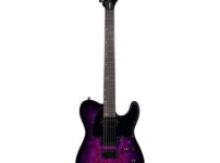 ESP | イーエスピー  LTD TE-200DX PB