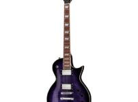 ESP | イーエスピー  LTD EC-256FM STPSB
