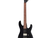 ESP | イーエスピー  LTD M-201HT Black Satin