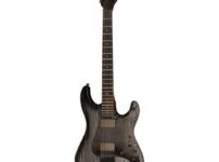 ESP | イーエスピー  LTD SN-1000 HT Silver Blast
