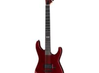 ESP | イーエスピー  E-II M-I Thru NT DCARS