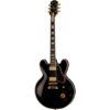 Epiphone | エピフォン  B.B. King Lucille