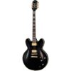 Epiphone | エピフォン  Emily Wolfe Sheraton Stealth