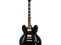 Epiphone | エピフォン  Emily Wolfe Sheraton Stealth