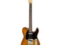 Fender | フェンダー  AM Perf Tele RW HBST