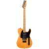 Fender | フェンダー  LTD Am Pro II Tele HH AGN