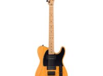Fender | フェンダー  LTD Am Pro II Tele HH AGN