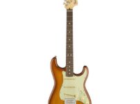Fender | フェンダー  AM Perf Strat RW HB