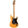 Fender | フェンダー  LTD Am Pro II Strat HSS AGN