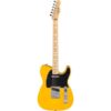 Fender | フェンダー  Standard Tele MN BPG BTB
