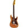 Fender | フェンダー  Michael Landau Coma Strat
