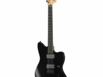 Fender | フェンダー  Jim Root Jazzmaster