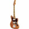 Fender | フェンダー  Troy V Leeuwen Jazzmaster MN