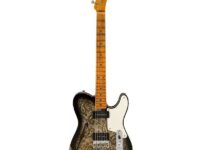Fender | フェンダー  Tele Dual P90 Black Paisley