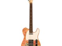 Fender | フェンダー  Stamp Collection Tele Algeria