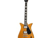 Gibson | ギブソン  Theodore Antique Natural