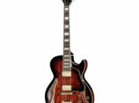Ibanez | アイバニーズ  AG95QA-DBS