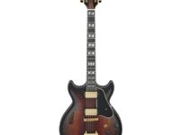 Ibanez | アイバニーズ  AMH100FM-DVS
