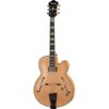 Ibanez | アイバニーズ  PM200-NT Pat Metheny