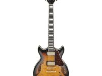 Ibanez | アイバニーズ  AM93QM-AYS
