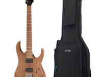 Ibanez | アイバニーズ  RG421-MOL Bundle
