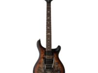 PRS | ピーアールエス   SE Custom 24/08 CJ Exotic LTD